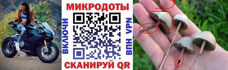 Галлюциногенные грибы MAGIC MUSHROOMS  наркота  Бокситогорск 